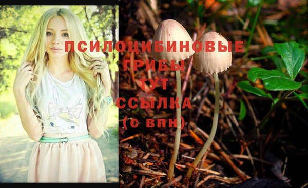 спайс Абдулино