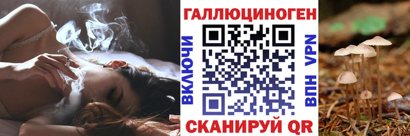 как найти закладки  Туран  Псилоцибиновые грибы ЛСД 
