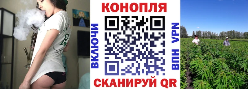 Бошки Шишки марихуана Туран